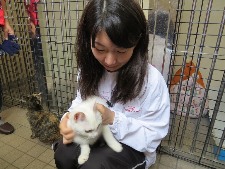鳥取県・倉吉市｜「人と動物の未来センター“アミティエ”」ボランティア活動